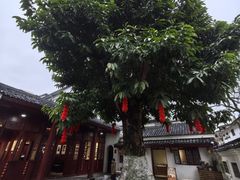 -徐悲鸿故居