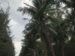-万绿园