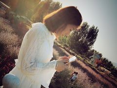 -北京东方普罗旺斯薰衣草庄园