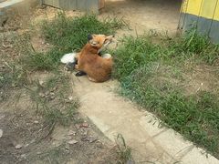 -无锡动物园·太湖欢乐园