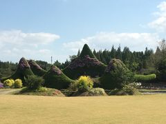 -东平国家森林公园