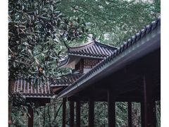 -南岗山公园