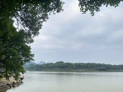 -番禺大夫山森林公园