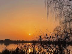 -东湖落雁景区
