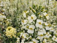 -中国天府农业博览园