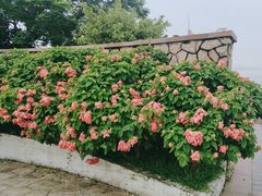 -深圳湾公园(南山区)