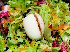 -Hatsune隐泉日式料理(SKP店)