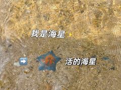-广鹿岛