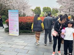 -堤角公园