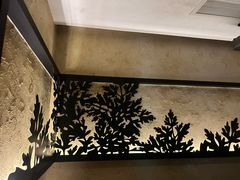-新紫霞养生·影院足道·SPA(金山区店)