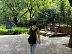 -延安杨家岭革命旧址