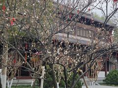 -钱王祠