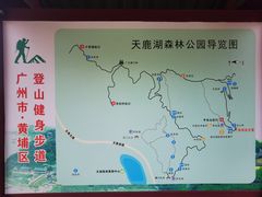-天鹿湖森林公园