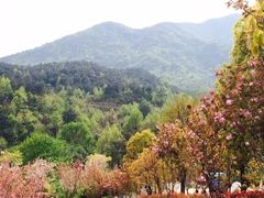-张公山寨景区