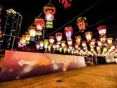 -锦江乐园舞狸花花游园会(夜场专享)