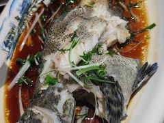 -粤膳记·合记排档(旱西关店)