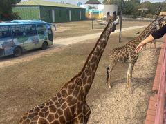 -鄂尔多斯野生动物园