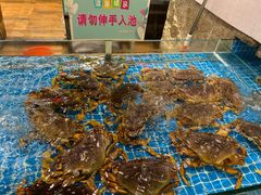 水产区-香山湖家家宴(中山陵店)
