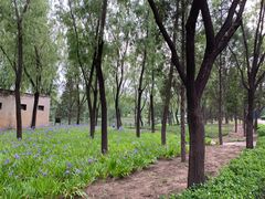 -森林公园(尖草坪区)