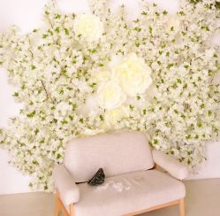 -艾菲儿摄影(正鼎店)