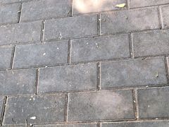 -顺承小院儿