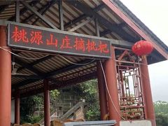 -桃源山庄·水蜜桃采摘·柴火鸡·烧烤团建(龙泉山店)