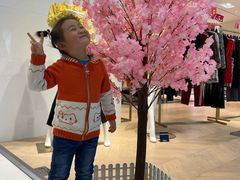 -砂之船奥特莱斯(合肥店)