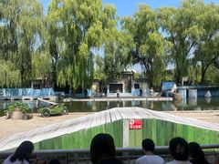 -白洋淀景区