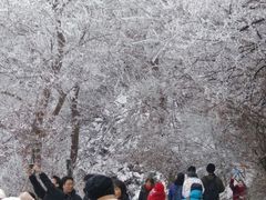 -紫金山山顶公园