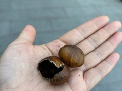 糖炒栗子-秋栗香(地安门店)