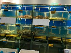 水产区-胖大嫂渔家排档(半边山店)