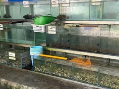 -湘里湘亲饭店(闸坡店)
