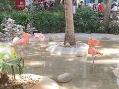 -三亚蜈支洲岛旅游区