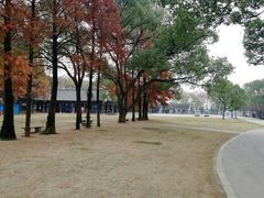 -苏州上方山国家森林公园