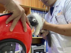 -pd派德宠物中心医院24H急重症·眼科中心·血液透析中心(嵩山北路店)