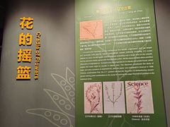 -辽宁古生物博物馆