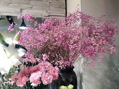 -花草间花行(法华镇路店)