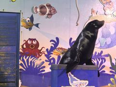 -太平洋海底世界