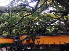 -普陀山风景名胜区-法雨禅寺