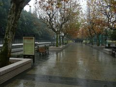 -东方绿舟景区