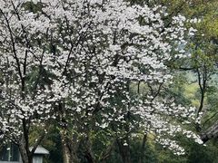 -兰亭风景区