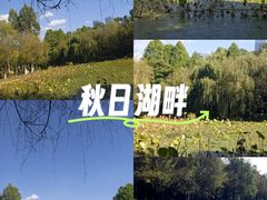 -月牙潭公园