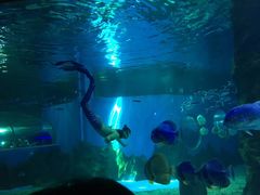 -北戴河圣蓝海洋公园