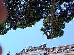 -紫竹林