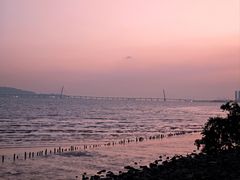 -福田红树林生态公园