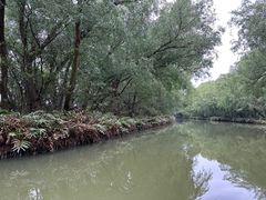 -大湾区中央湿地公园