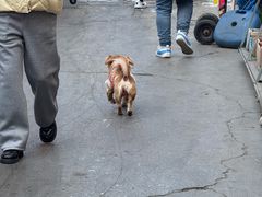 -大连双兴商品城