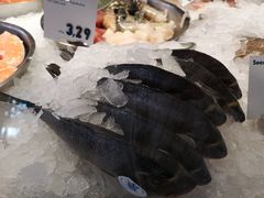 -NORDSEE Frankfurt Fisch Franke