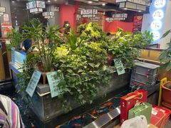 -洞庭家宴·头牌甲鱼(广渠门店)