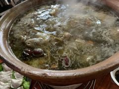 炭炉果鸡煲-威邵鸡煲(西华路总店)